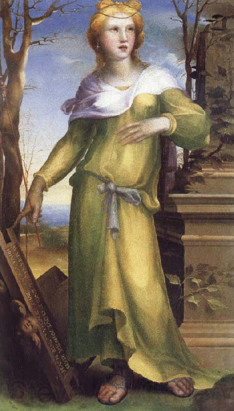 Domenico Beccafumi Tanaquil Spain oil painting art